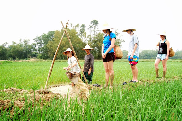 "Rụng rời" Ảnh đẹp làng quê Việt Nam đẹp như tranh vẽ