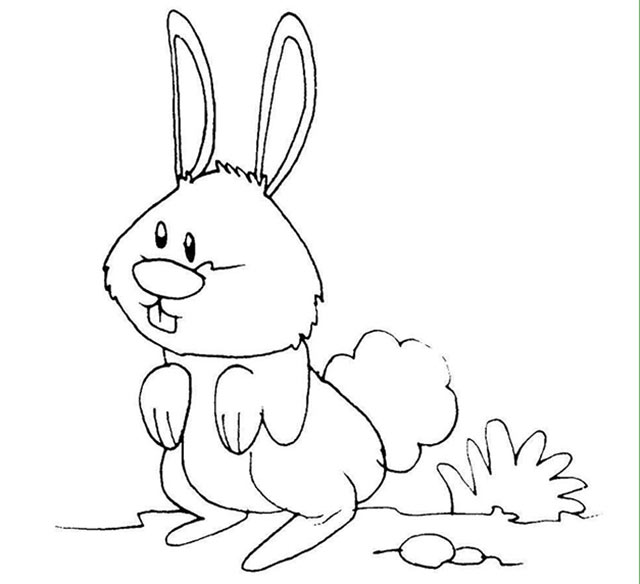Trang tô màu con thỏ