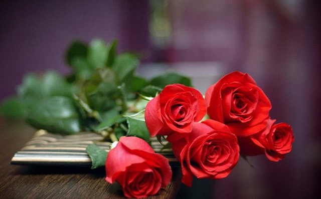 Nằm mơ thấy hoa hồng tượng trưng cho điều gì? Những con số may mắn liên quan