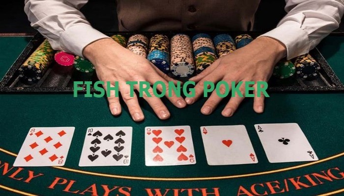 Cá trong Poker | Nhận biết và làm gì khi gặp Fish in Poker?