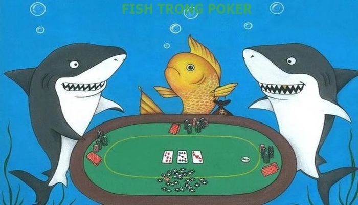 Cá trong Poker | Nhận biết và làm gì khi gặp Cá trong Poker?