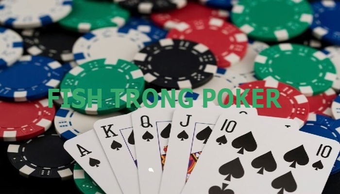 Cá trong Poker | Nhận biết và làm gì khi gặp Fish in Poker?