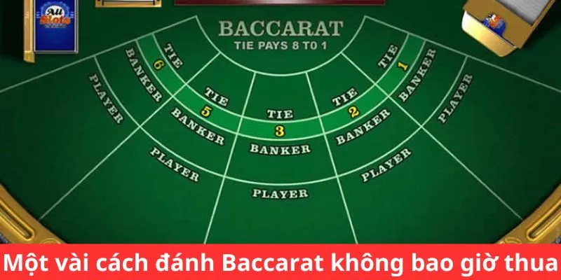 Cách chơi Baccarat không bao giờ thua - Tiết lộ bí mật hoàn hảo