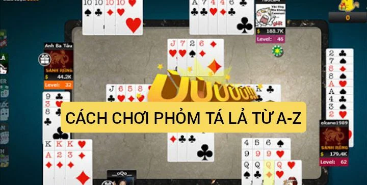 Học cách chơi pom chi tiết từ A đến Z chính xác nhất