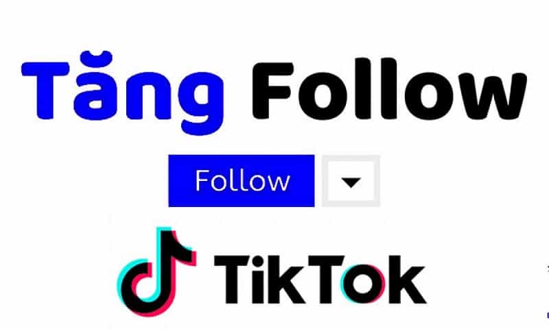 Dịch vụ tăng trưởng người đăng ký Tiktok uy tín số 1 tại ForLike