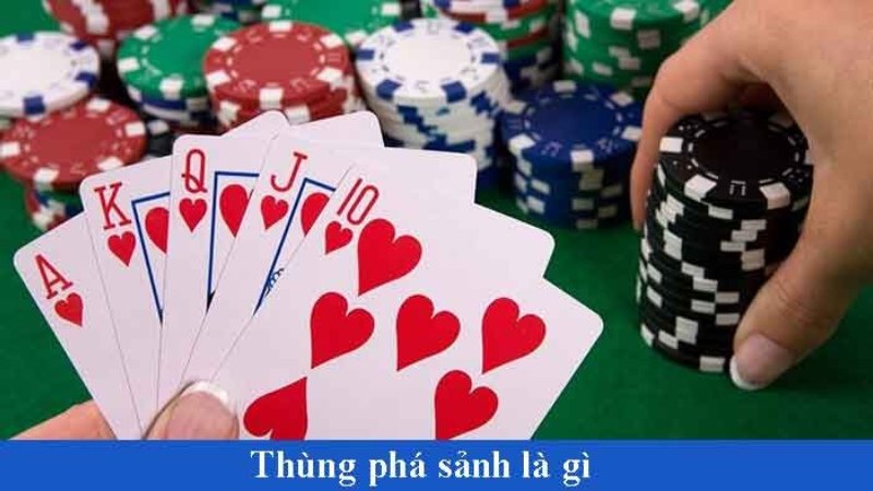 Poker Straight Flush - Bí quyết sử dụng những quân bài mạnh trong Poker