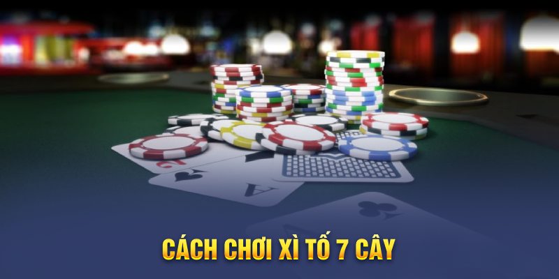 Xì Tố 7 Cây - Chia Sẻ Cách Chơi & Bí Kíp Đánh Bài Đại Thắng