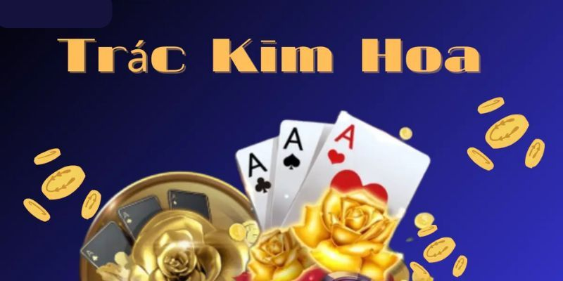 Trác Kim Hoa Hi88 - Khám phá những bí mật của cuộc sống thú vị