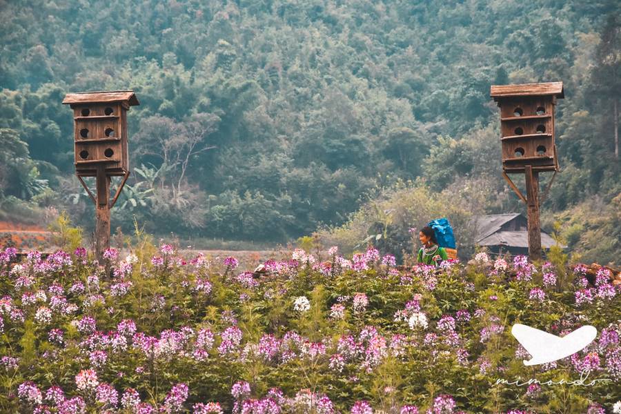 địa điểm du lịch tết