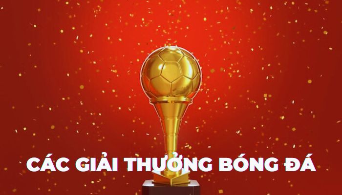 Những khoảnh khắc đáng nhớ tại các lễ trao giải