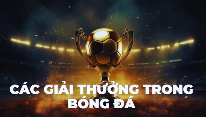 Các giải thưởng trong bóng đá danh giá nhất hiện nay