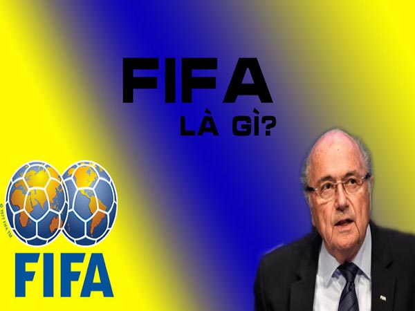 FIFA là gì? Tìm hiểu về tổ chức quản lý bóng đá hàng đầu thế giới